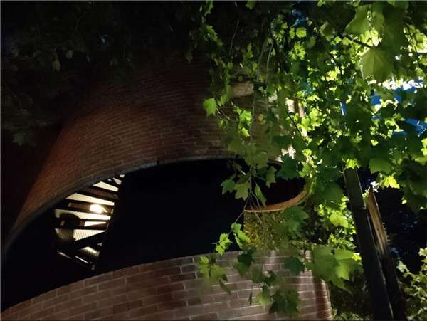 诺基亚x7拍照效果怎么样 诺基亚x7拍照效果好不好看