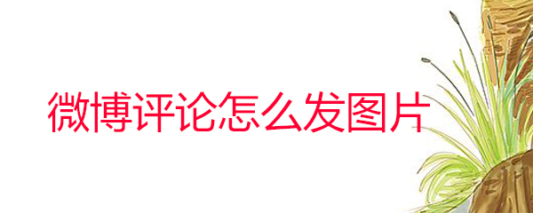 微博评论怎么发图片_微博评论发图片方法