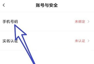 faceu激萌怎么绑定手机号_faceu激萌绑定手机号方法