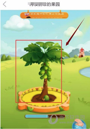 拼多多种水果是真的吗 种水果得水果可信吗