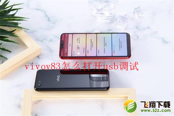 vivo y83怎么打开usb调试_vivo y83开启usb调试教程