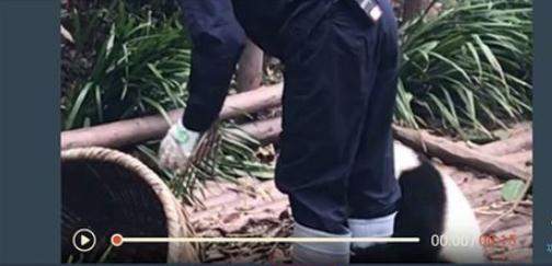 抖音歌词mv怎么拍？添加歌词方法推荐