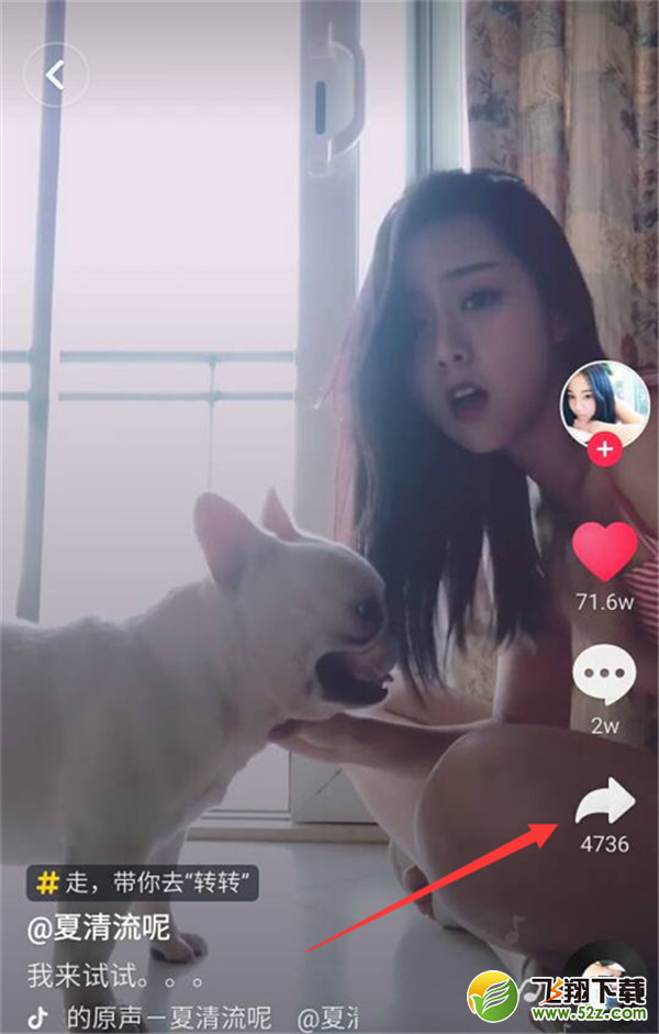 小米max3怎么设置动态壁纸_小米max3动态壁纸设置方法