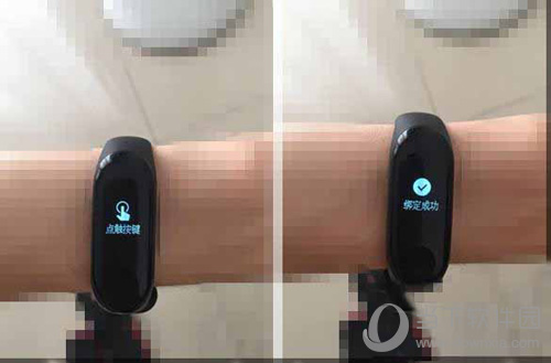 小米手环3怎么绑定支付宝免密支付 支付宝免密支付开启方法