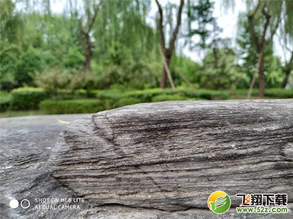 小米8青春版拍照像素怎么样_小米8青春版拍照效果测评小米8青春版拍照像素怎么样_小米8青春版拍照效果测评