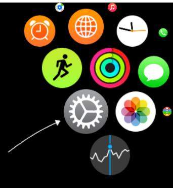 【iwatch4抬腕激活】设置方法介绍