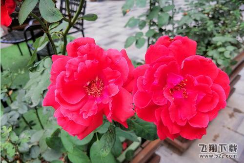 华为麦芒7拍照像素怎么样_华为麦芒7拍照效果测评华为麦芒7拍照像素怎么样_华为麦芒7拍照效果测评