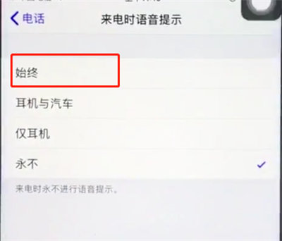 ios12来电语音显示在哪设置？开启步骤分享