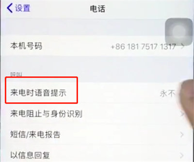 ios12来电语音显示在哪设置？开启步骤分享
