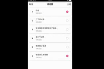 皮皮蟹语音包在游戏里怎么用?使用方法介绍