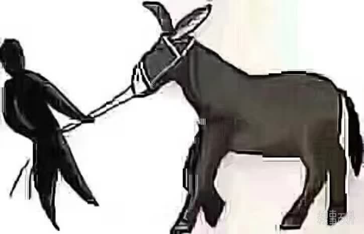 朋友圈驴为什么这么犟搞笑图分享【高清无水印】