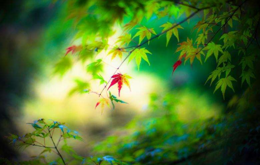 2018年9月份天气怎么样 2018年9月份天气预测