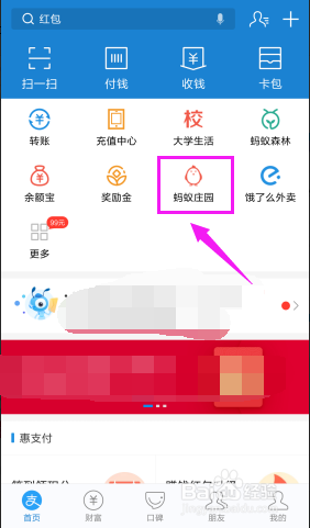 蚂蚁庄园怎么揍偷吃的小鸡？胖揍功能介绍
