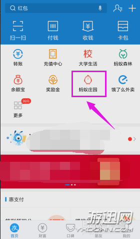 蚂蚁庄园怎么揍偷吃的小鸡？支付宝蚂蚁庄园胖揍功能详解