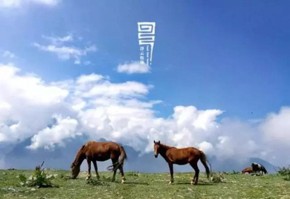 抖音网红酒店有哪些_抖音上火爆的酒店分享