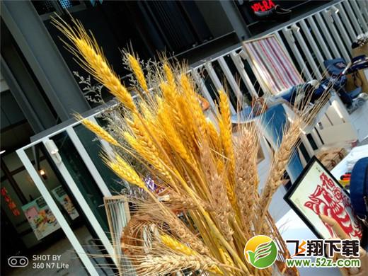 360n7lite拍照像素怎么样_360n7lite拍照效果测评360n7lite拍照像素怎么样_360n7lite拍照效果测评