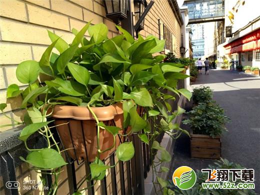 360n7lite拍照像素怎么样_360n7lite拍照效果测评360n7lite拍照像素怎么样_360n7lite拍照效果测评