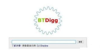BTDigg怎么用？BTDigg使用方法介绍