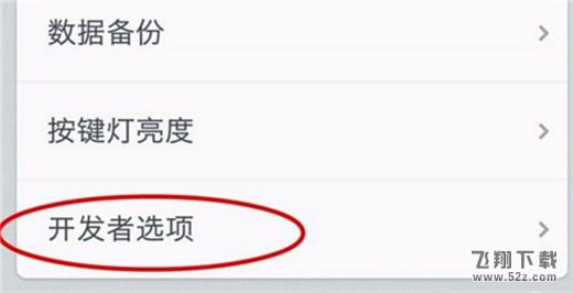 坚果pro2s开发者选项怎么设置_坚果pro2s开发者选项设置方法教程坚果pro2s开发者选项怎么设置_坚果pro2s开发者选项设置方法教程