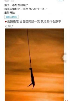 长颈鹿上吊是什么梗？长颈鹿上吊是什么意思？