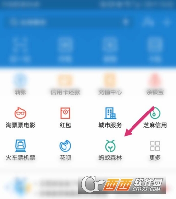支付宝怎么开启能量可收取提醒 开启收取提醒方法