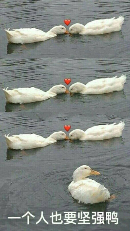 2018七夕表情包大全 七夕情人节表情包高清无水印版分享