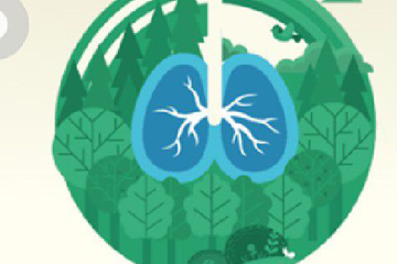 支付宝蚂蚁森林怎么玩 最全种树攻略尽在这里