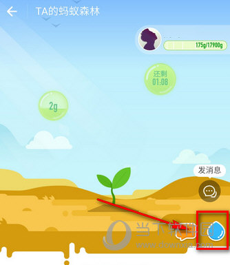 支付宝蚂蚁森林怎么浇水 给好友浇水方法