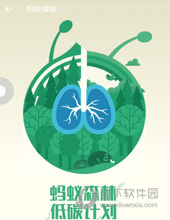 支付宝蚂蚁森林怎么浇水 给好友浇水方法