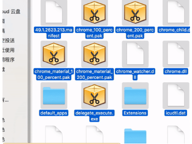红芯浏览器是谷歌Chrome换了层皮是真的吗？红芯浏览器详细介绍