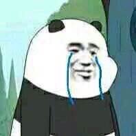 bum是什么意思？bum表情包哪来的？