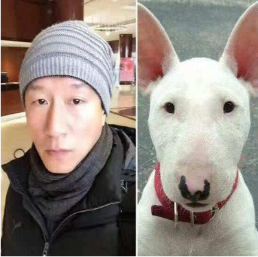 抖音马思纯的微笑什么梗?评论哈哈出现马思纯的微笑什么意思?