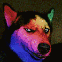 【抖音超火闪瞎眼GIF表情包】全套无水印分享