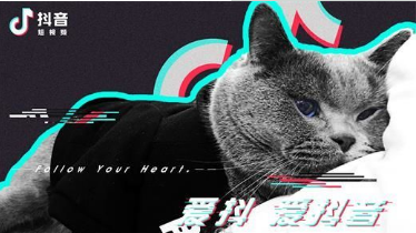 成人版抖音软件叫什么?成人版抖音和抖音有什么区别