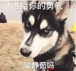 梁静茹给的勇气什么梗?谁给你的勇气下一句怎么接?