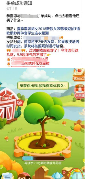 多多果园怎么玩？多多果园玩法攻略介绍【图】