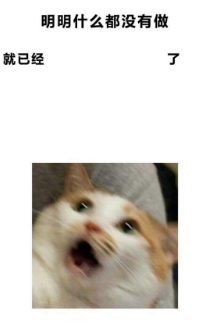 抖音明明什么都没做就已经表情包高清无水印图片完整版