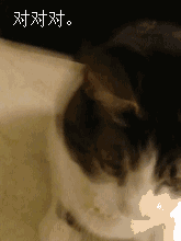 什么是伪球迷攻略？教你怎么假装自己是资深老球迷！