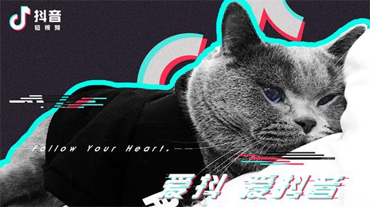 抖音脸盆拍照怎么拍 脸盆拍照教程分享