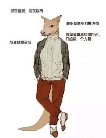 抖音动物系男友是什么意思?抖音动物系男友有哪些特征?