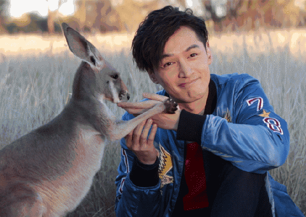熊系男友是什么梗？熊系男友是什么意思