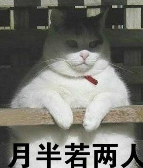 胖若两人是什么梗_胖若两人是什么意思出处
