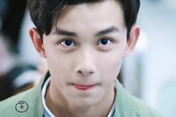 犬系男友是什么梗_犬系男友是什么意思