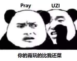 【LPL比我叼的上单还有18个】熊猫头大众情人uzi表情包