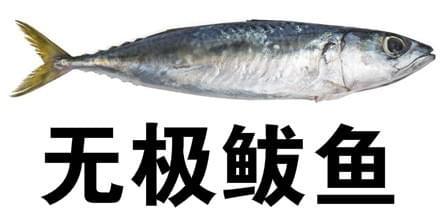 无极鲅鱼是什么梗_无极鲅鱼有什么内涵出处