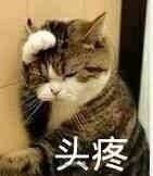 父愁者联盟什么梗?父愁者联盟是什么意思出处