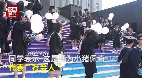 小猪佩奇毕业照什么梗?小猪佩奇毕业照图片分享