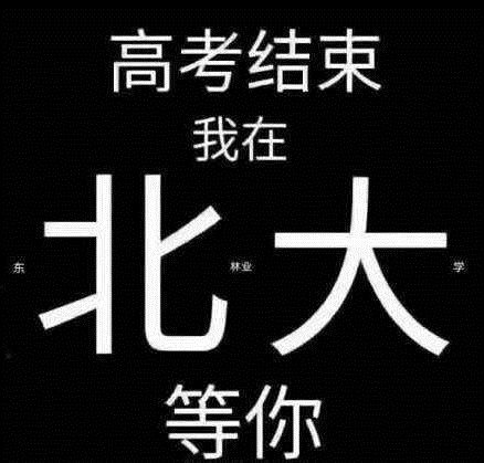 招生体是什么梗_招生体是什么意思_招生体表情包图片分享
