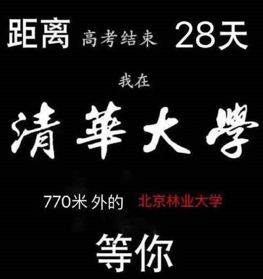 招生体是什么梗_招生体是什么意思_招生体表情包图片分享