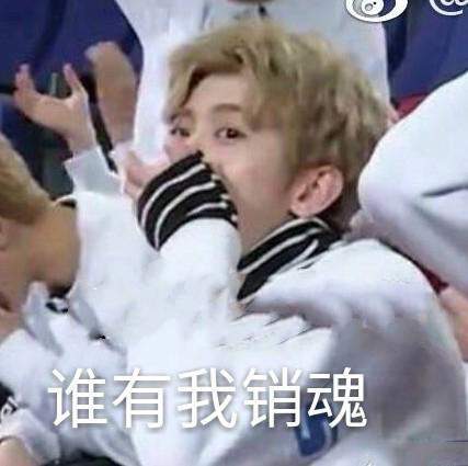 我们喵星人就是辣么拽表情包下载【蔡徐坤版我们喵星人就是辣么拽】